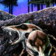 Illustration for article titled Sabre-tooth squirrels stalked ancient South America